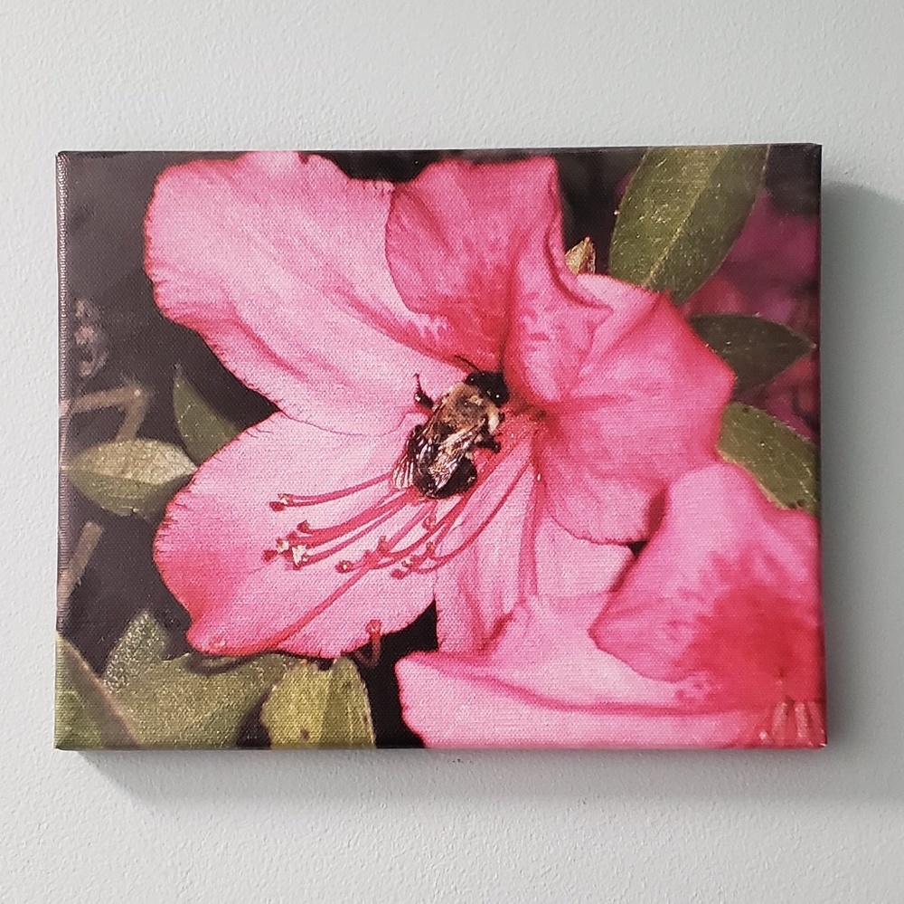 Photo printed on canvas